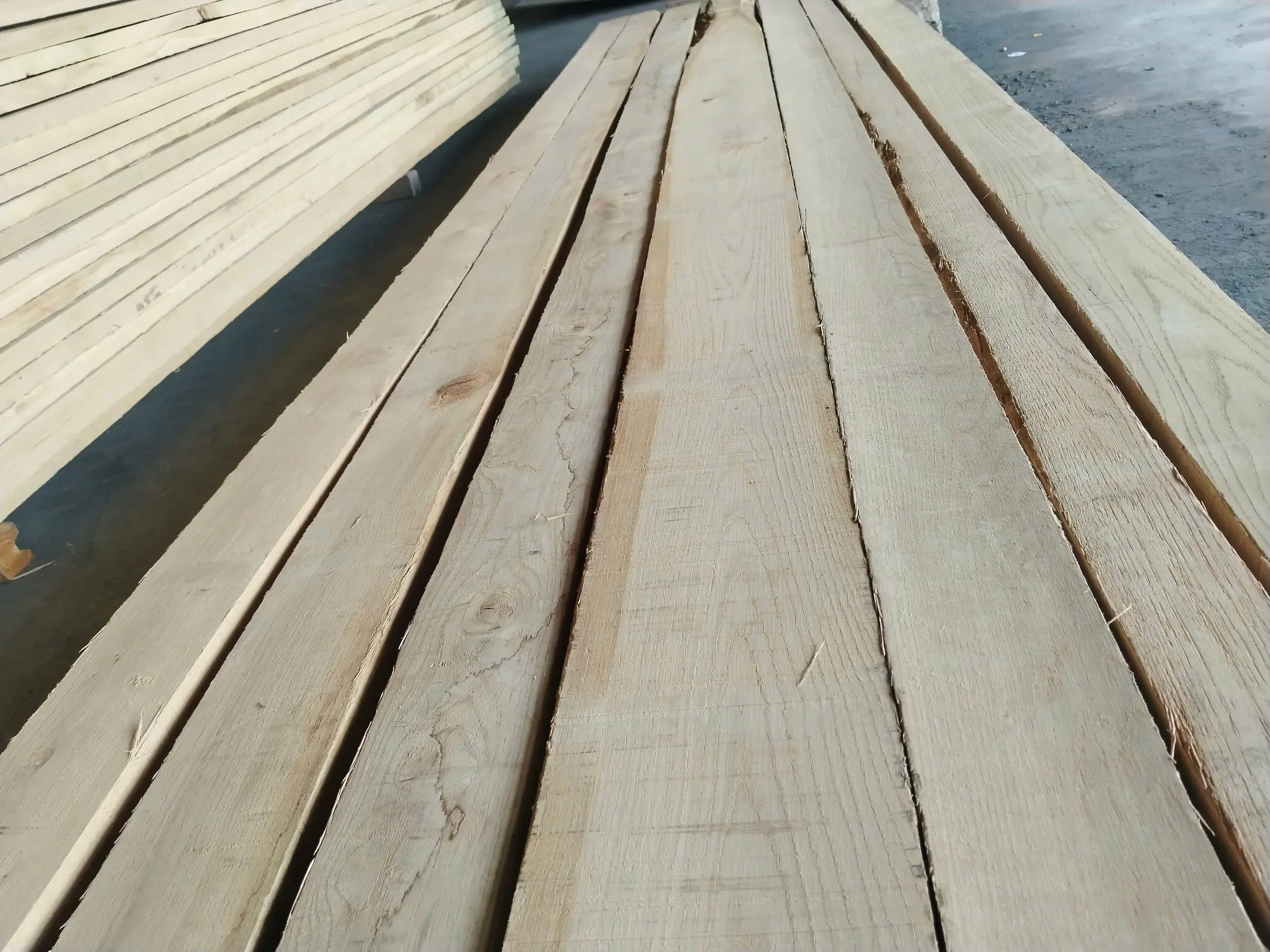 Meadow 4/4 1C - Image 3